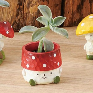 Pot/Planter Colorful