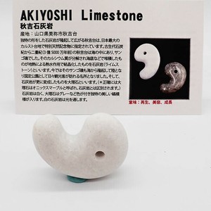 天然石材料/零件 美容 白色