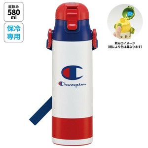 Water Bottle Skater 580ml