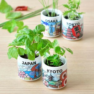 お芽でたおちょこJAPAN 薬味 ハーブ お土産 日本 観光地 栽培セット GD-997