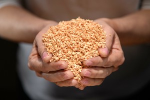 自然の贈り物！四万十ひのきサシェ3点セット