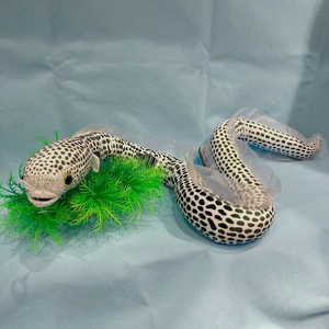チンアナゴ　ぬいぐるみ　水生生物
