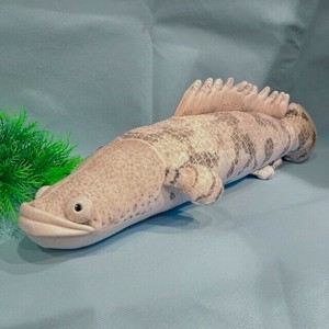 ポリプテルス・エンドリケリー　ぬいぐるみ　水生生物
