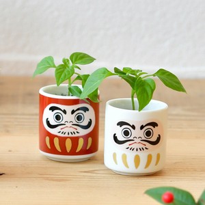 お芽でたおちょこ だるま 赤 白 縁起物 五色唐辛子 栽培セット GD-915