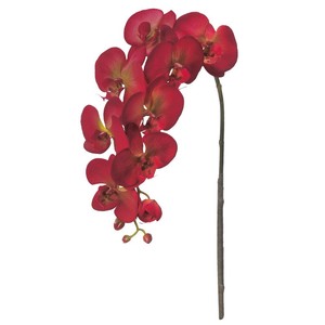 人造植物/人造花 价格变动