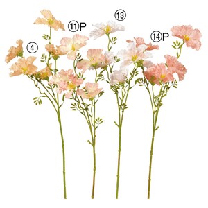 ワイルドフラワーX5