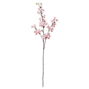 桜X72