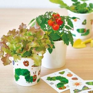 はらぺこあおむし ペタペタ＆すくすく 野菜 花 シール入り 栽培セット HP-01