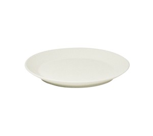 Main Plate