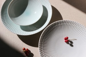 Main Plate Gray
