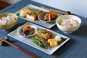 soso そそ 18-13長角皿(青白)(3)