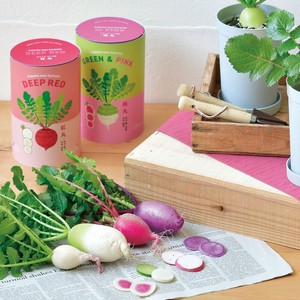 カラフルミニダイコン 大根 根菜 野菜 栽培セット GD-994