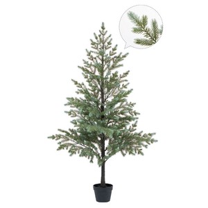 パインツリー（ポット付）　クリスマスツリー