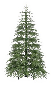 パインツリー　クリスマスツリー