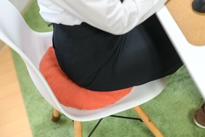 【2025AW】四万十ひのきの爽やか円座クッション