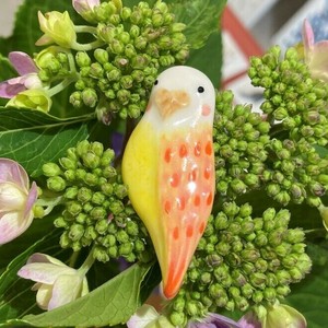 胸针 胸针 鹦鹉 日本制造