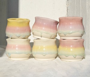 Pot/Planter