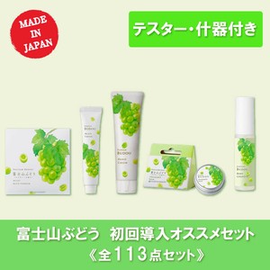 【特別価格】富士山ぶどう 初回導入オススメセット 全113点（テスター什器付）