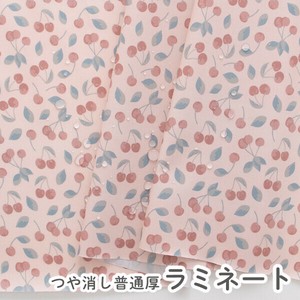 棉布 糖果