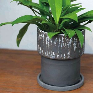 【インテリア鉢／陶器鉢／皿付】BOEX ベイト トール　11.5cm