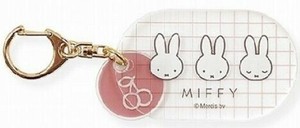 【特EMDq0701】アクリルKHPKMIFFY DBM-2277