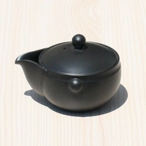 常滑焼（とこなめやき）　高資窯（たかすけかま）黒窯変宝瓶　ささめ茶漉し