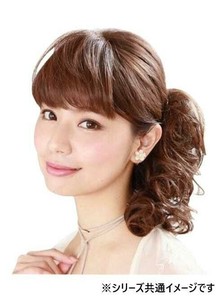 プリシラ 総手植前髪ウィッグ フルバング FX-100 耐熱　TDM・デイリーマロン