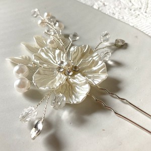 Comb Flower