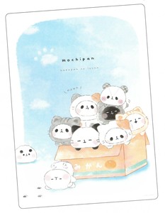 【2024年春夏新作】【もちもちぱんだ】下じき　ねこだらけ　220422
