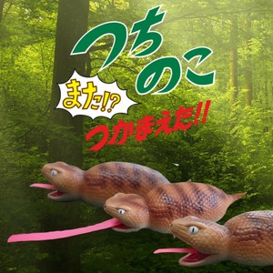 つちのこまた!?つかまえた!!  内箱 送料別（2万円以上の発注で送料無料）