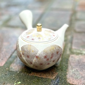 【常滑焼急須/日本製】晶窯白泥丸形金彩吉野桜急須