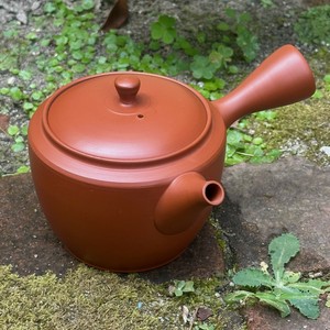 【常滑焼急須/日本製】玉光朱泥桶型無地急須