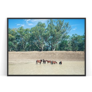 アートポスター【 Photo 37 】B3　A2　B2　A1　B1　写真 ポスター　馬