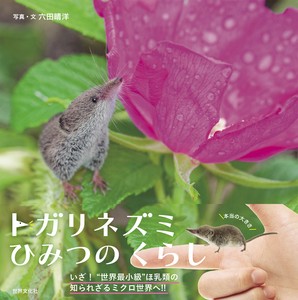 トガリネズミ　ひみつのくらし