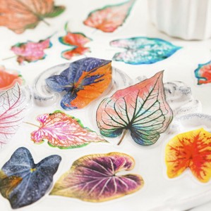 剪贴簿装饰品 透明贴纸 30张