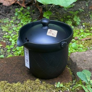 Tokoname ware Japanese Teapot Tea Pot Made in Japan