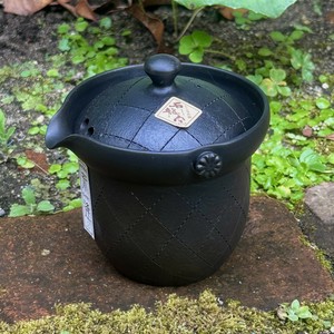 Tokoname ware Japanese Teapot Tea Pot Made in Japan