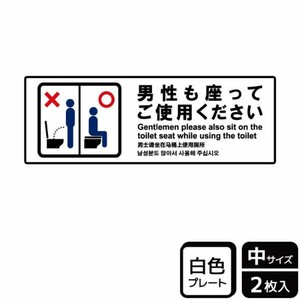 プレート KTK4052 男性も座って 2枚入 KALBAS
