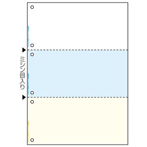 プリンター用紙 マルチプリンタ帳票 A4カラー3面6穴 100入 FSC2080 ヒサゴ