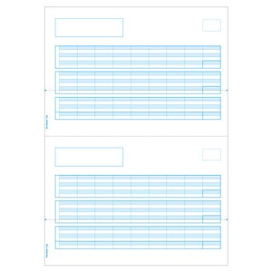 プリンター用紙 給与明細書 A4タテ 2面 500入 GB1172 ヒサゴ