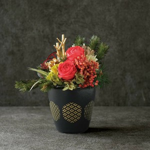 Pot/Planter