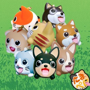 たまペロ 内箱 送料別（2万円以上の発注で送料無料）