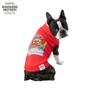 chi-beeスナップベスト/Chi-bee Snapvest ドッグウェア　犬服
