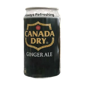 カナダドライジンジャーエール 350ml 炭酸飲料