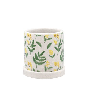 Pot/Planter