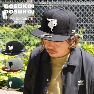 Baseball Cap Japan