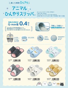 Slippers Slipper