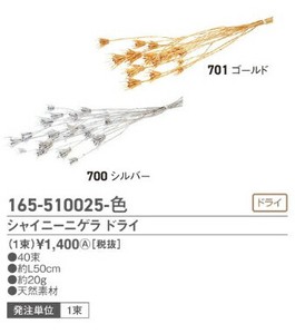シャイニーニゲラ　ドライ　20FLDRS025−700　シルバー