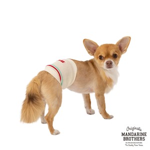 ベリーウォーマー/Belly Warmer　※2024秋冬 NEW　ドッグウェア　犬用はらまき