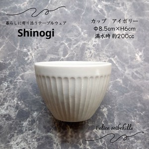 Mino ware Japanese Teacup Ivory Made in Japan